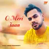 About O Meri Jaan Song